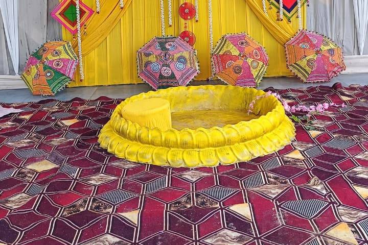 Bloom Haven Portfolio