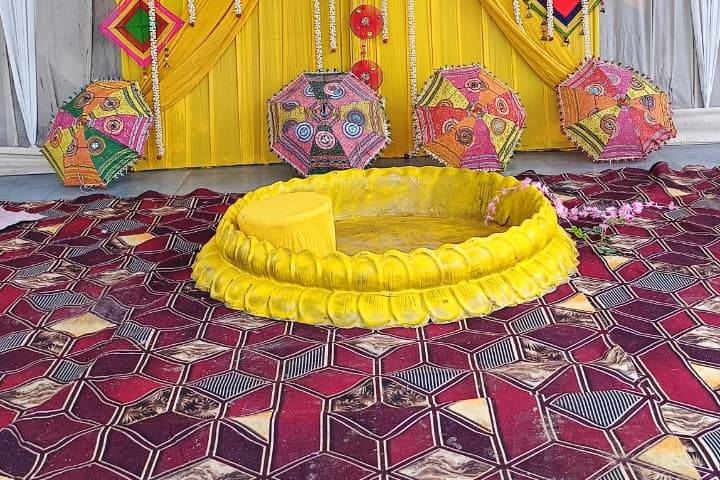 Bloom Haven Portfolio