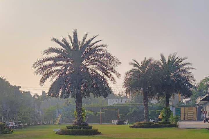 Bloom Haven Portfolio