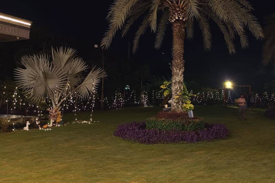 Lawn area