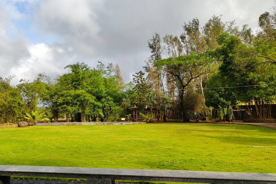 Lawn area