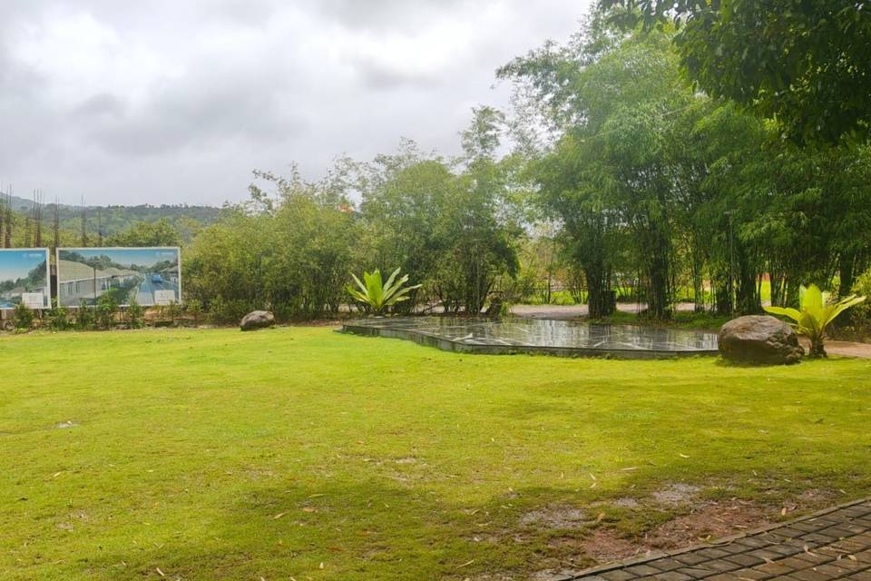 Lawn area