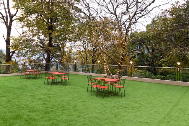 Lawn area