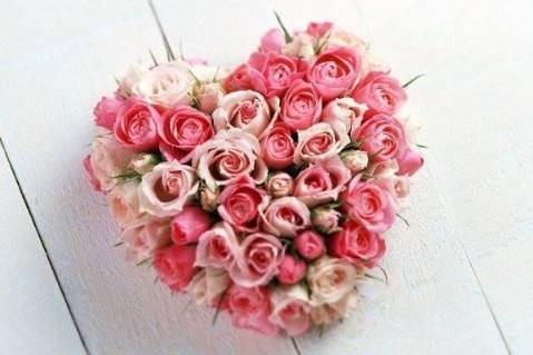 Ferns N Petals - Florist & Gift Shop, Hiranmagri