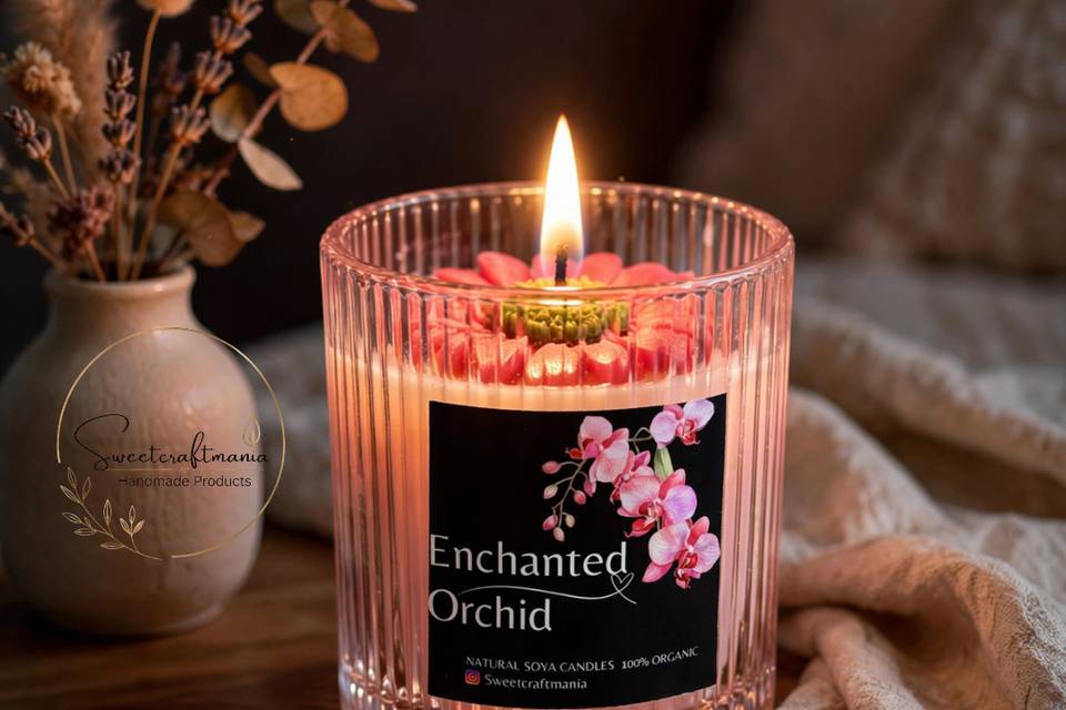 Echanted Orchid