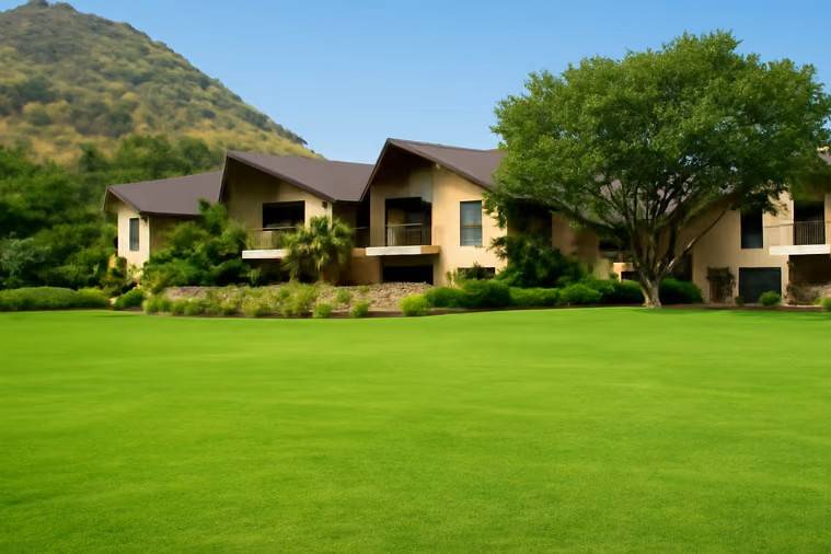 Lawn area