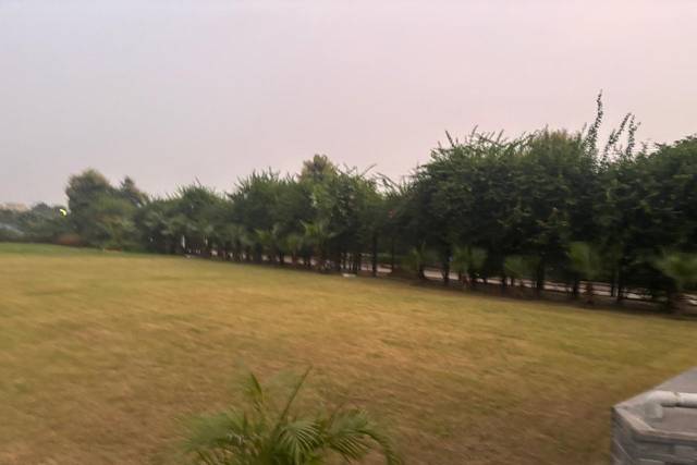 Lawn area