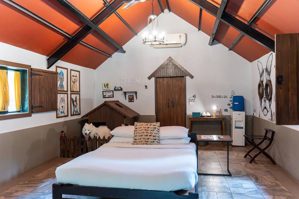 Pet Friendly Little Nell Room