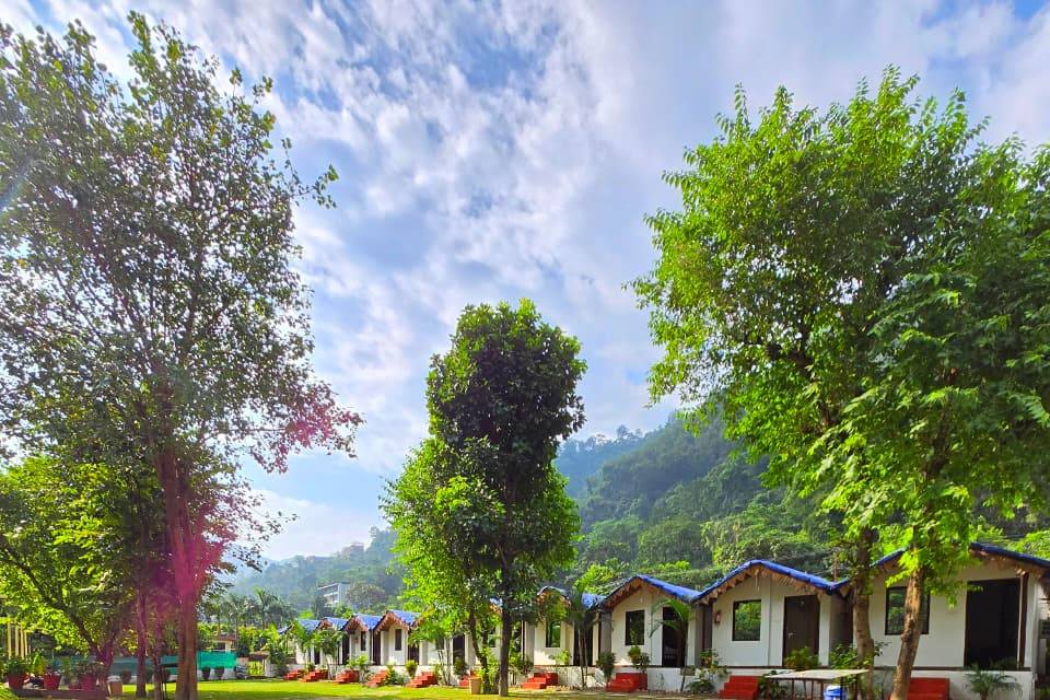 Lawn