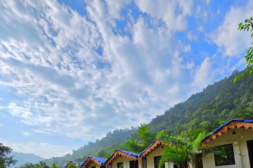 Lawn