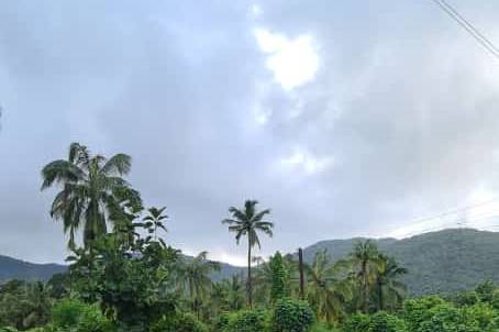 Road towards the property