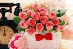 Ferns N Petals - Florist & Gift Shop, Rajouri Garden, West Delhi