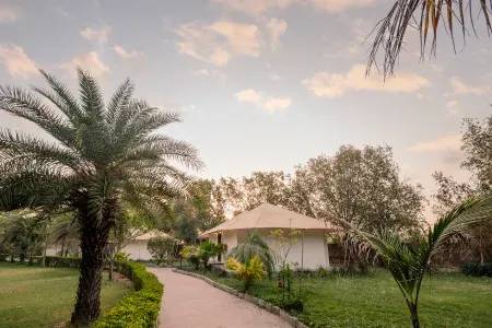Lawn area