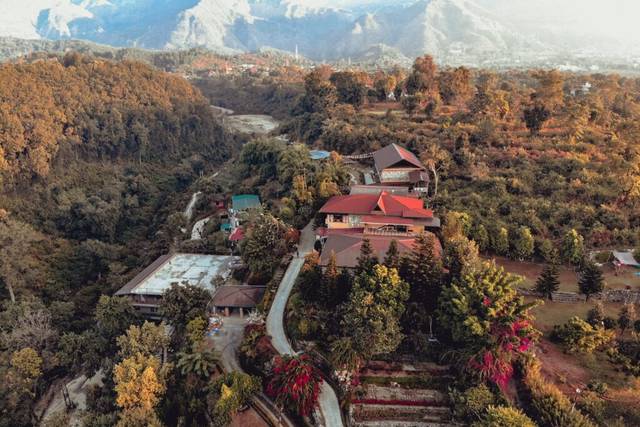 Aerial view