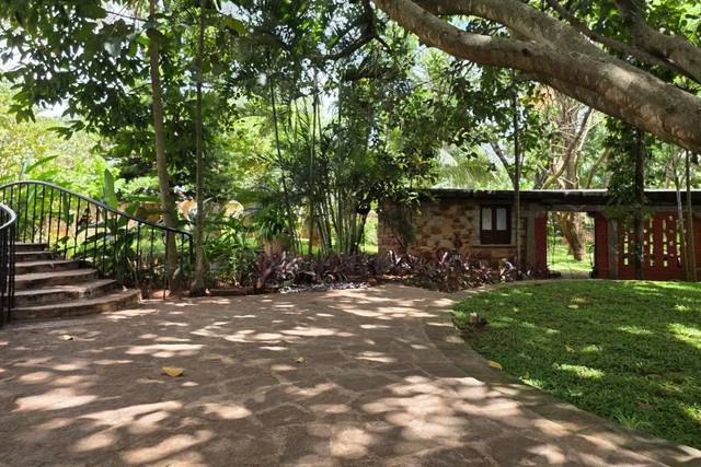 Lawn area