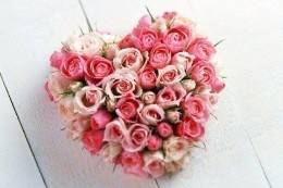 Ferns N Petals - Florist & Gift Shop,