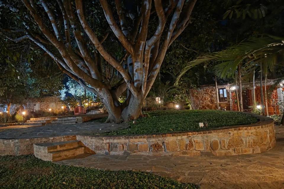 Lawn area