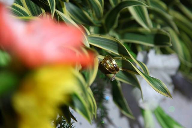 Sandhya professional photography