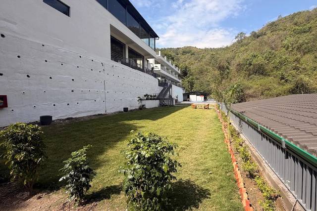 Lawn area