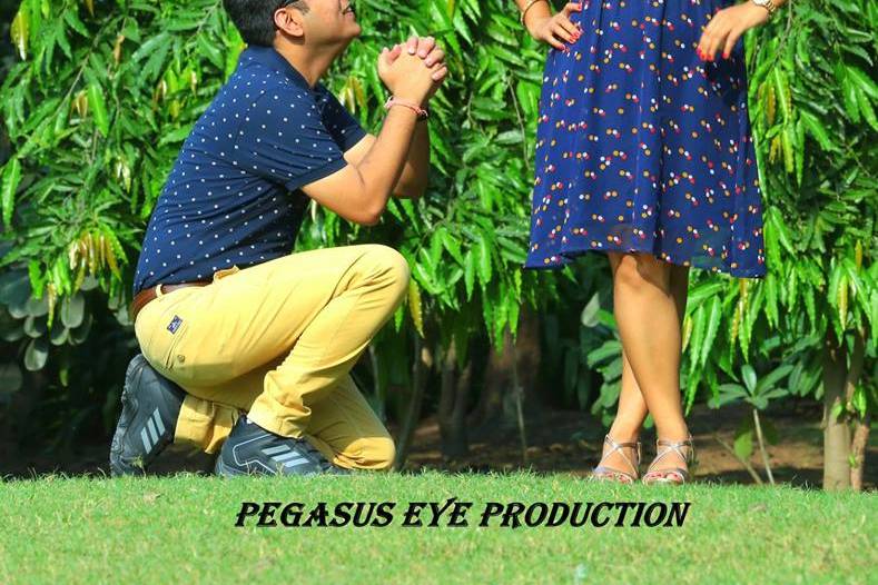 Pegasus Eye Production