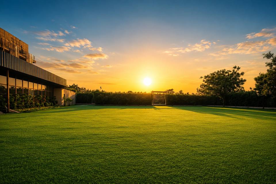 Lawn for paty