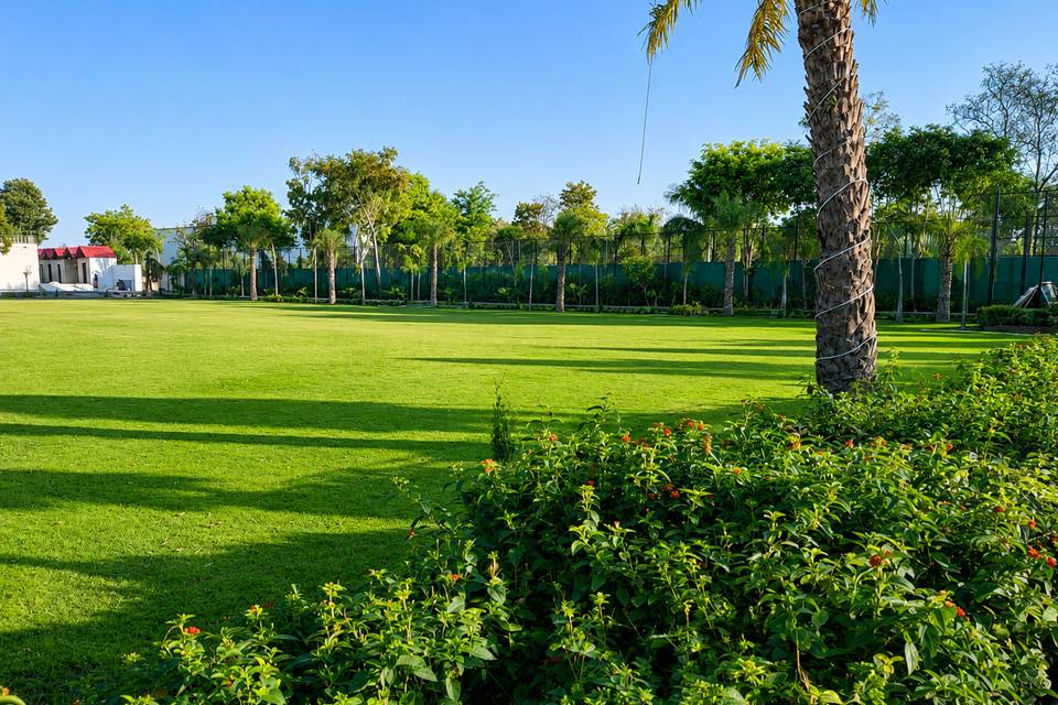 Lawn Area
