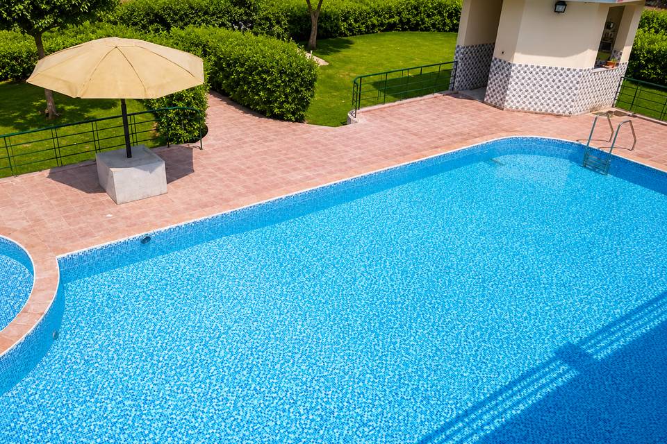Swimming Pool The Forest