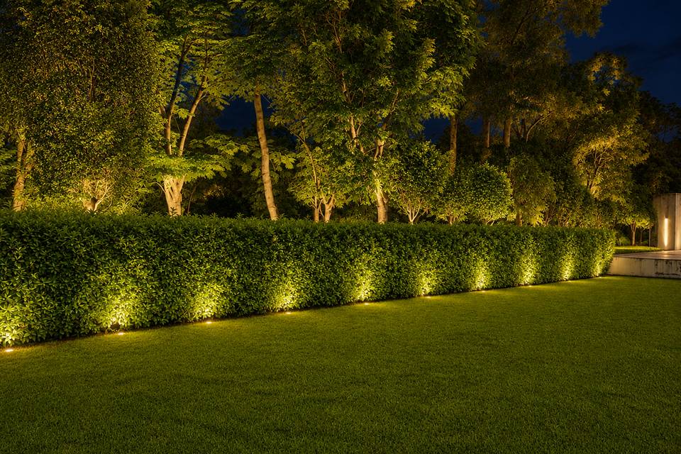 Wedding lawn The Forest