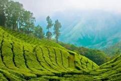 Honeymoon destination