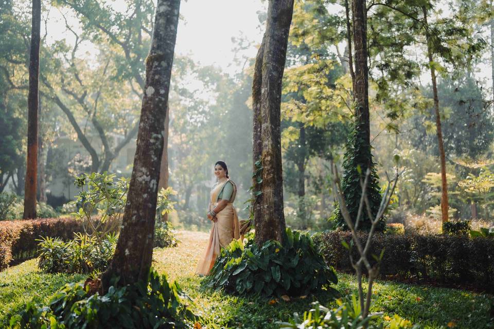 Forest Weddings