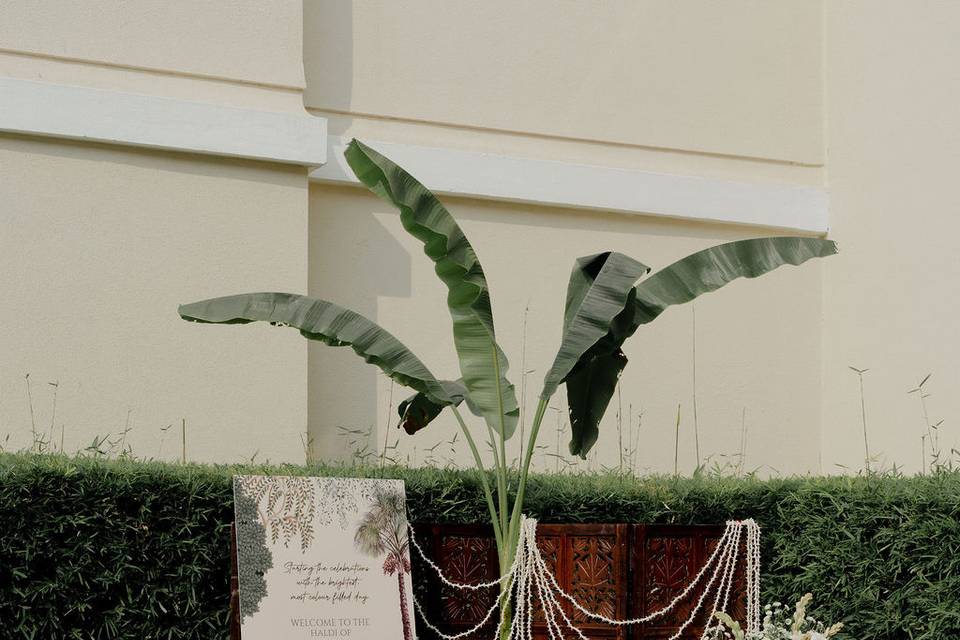 Decor