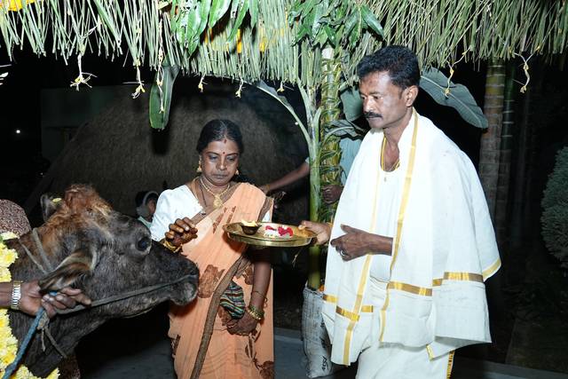 Wedding photography