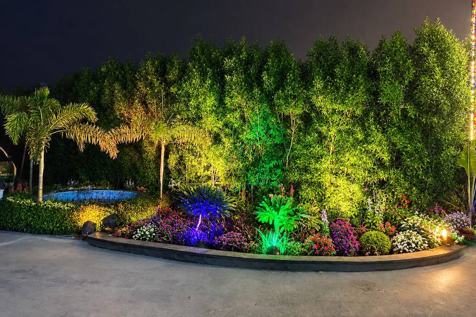 Welcome Plant Bed