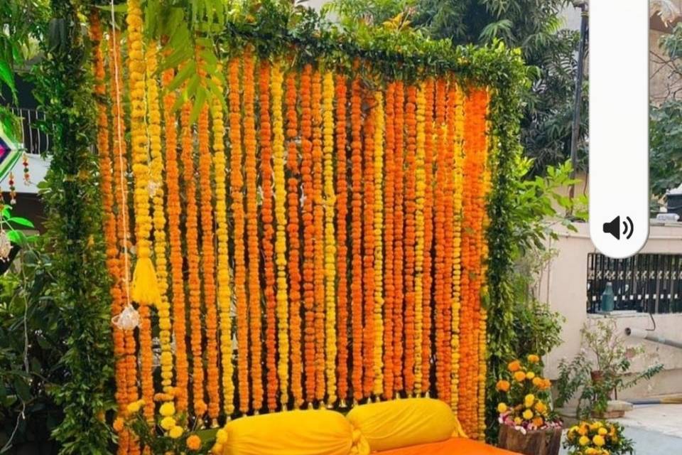 Haldi