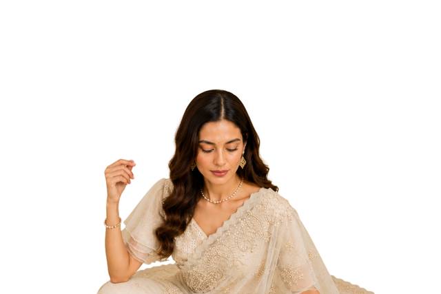 Designer Saree & Blouse