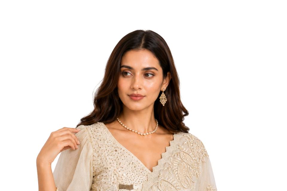 Designer Saree & Blouse