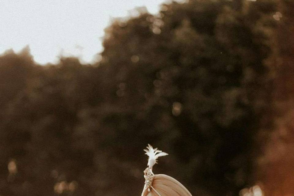 Wedding photography