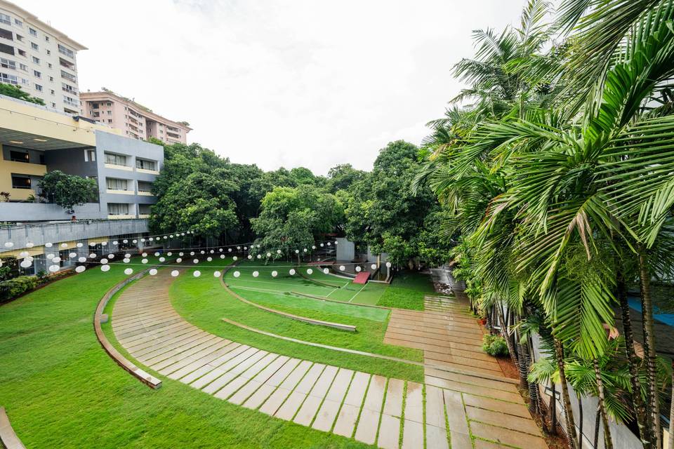 The Lawns