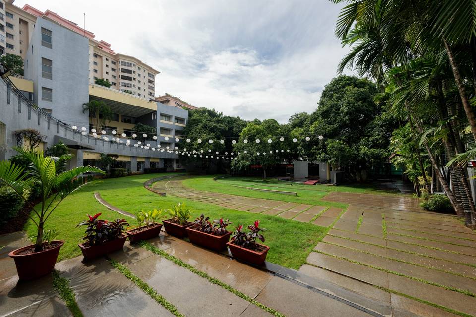 The Lawns