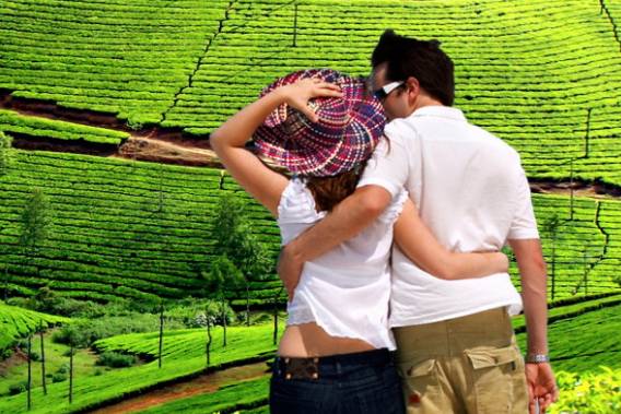 Kerala Honeymoon Tour Package