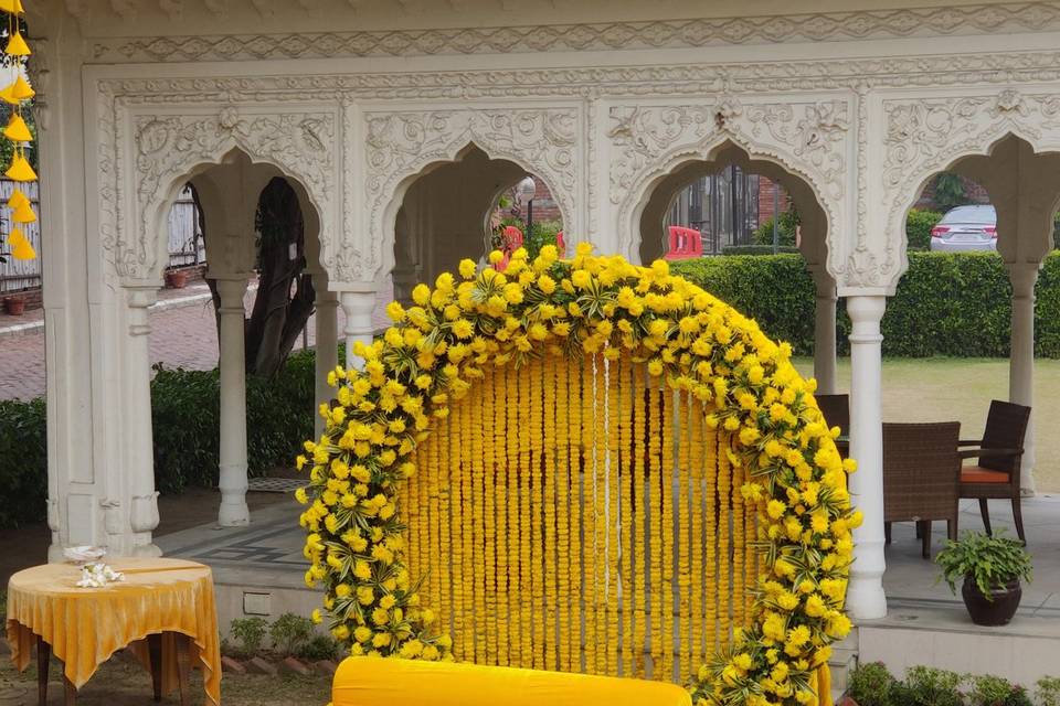 Haldi backdrop