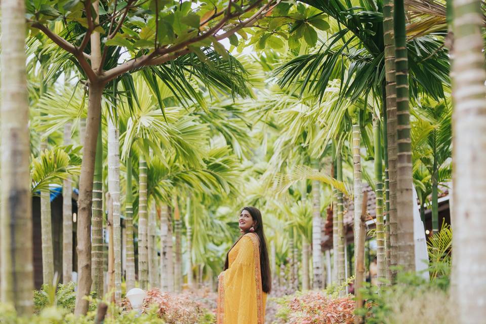 Wedding photography