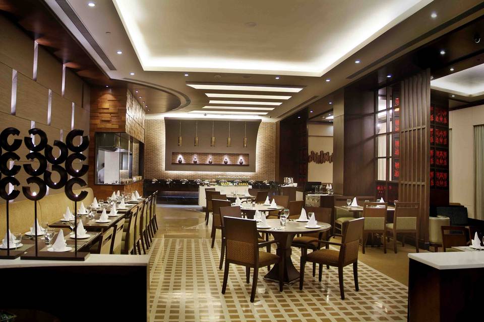 Goldfinch hotel delhi