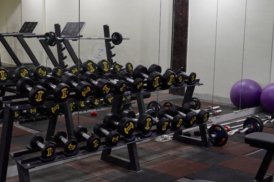 The GYM