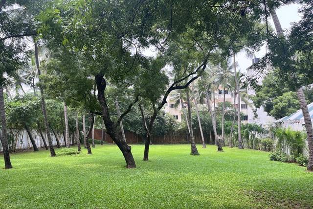 Lawn area
