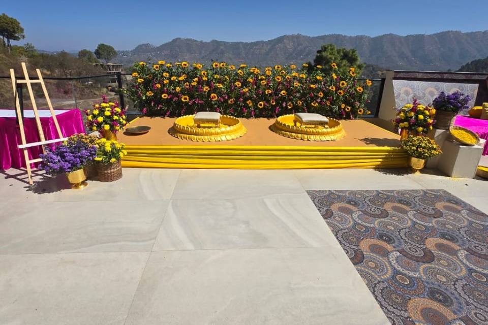 Haldi backdrop