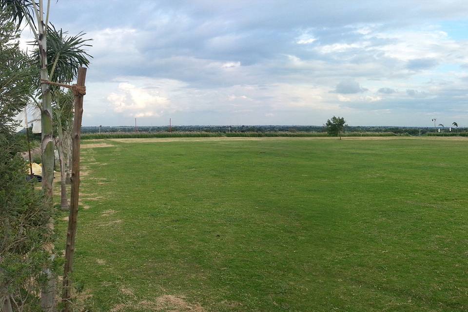 Horizontal Lawn