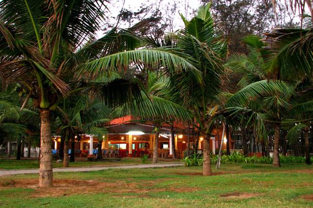 Lawn area