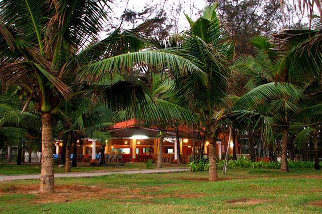 Lawn area