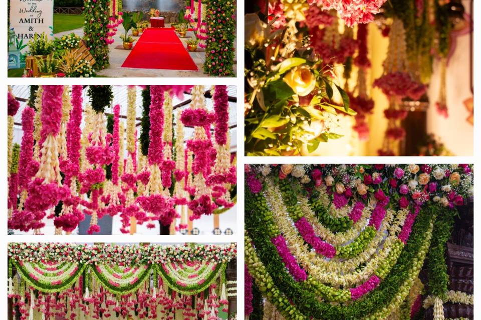 #Gorgeous mandap